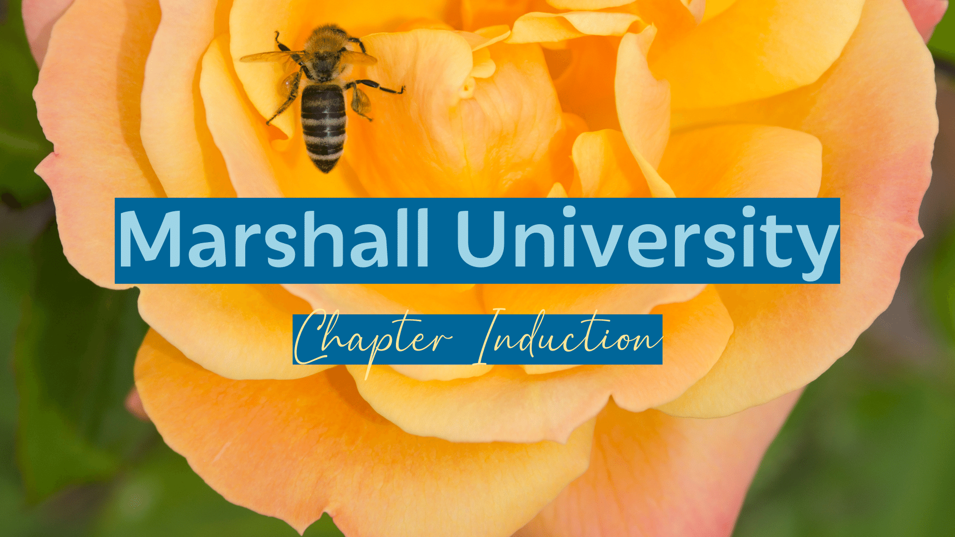 Marshall University Induction Weekend Omega Phi Alpha